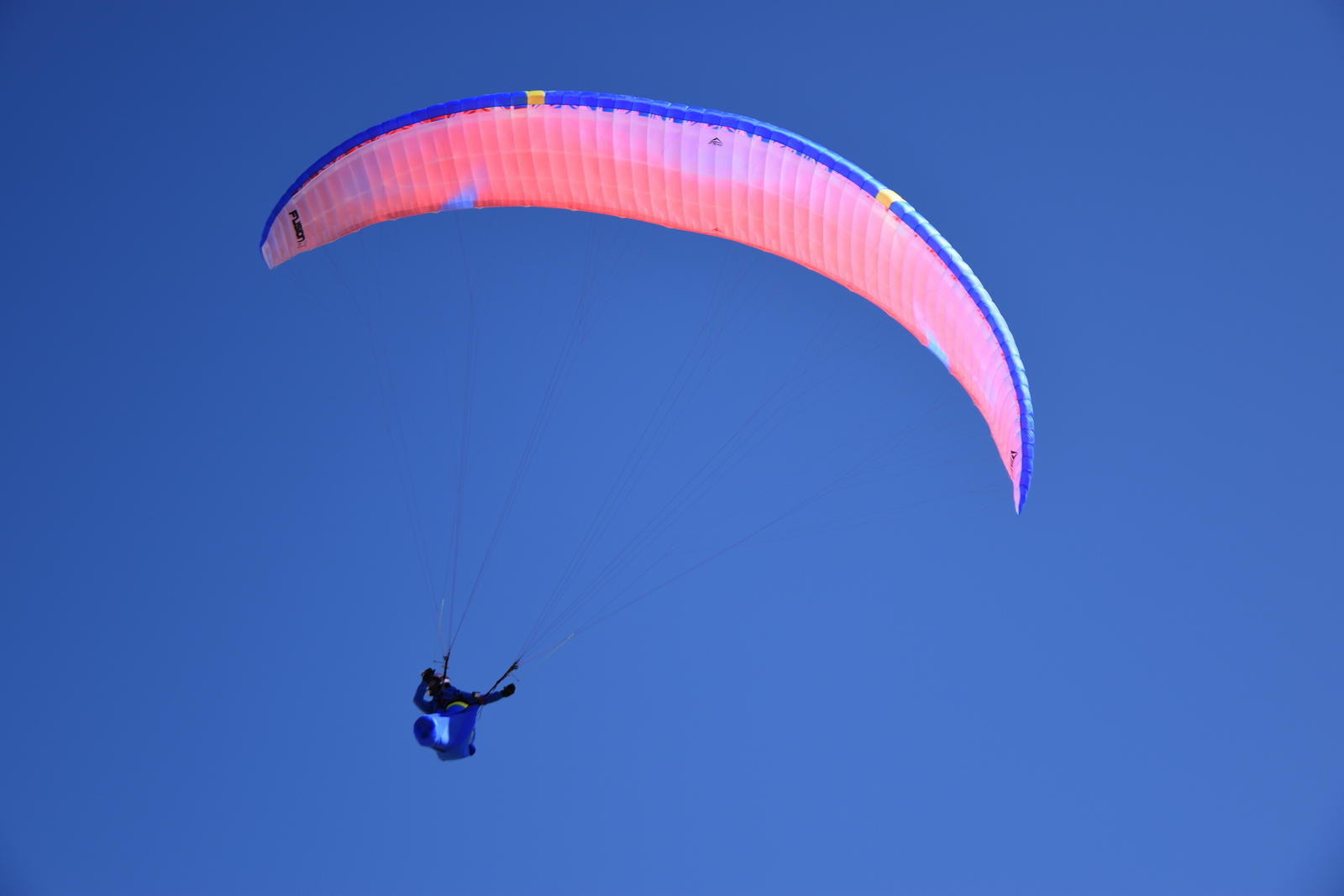 Flow Paragliders Fusion: easy rider